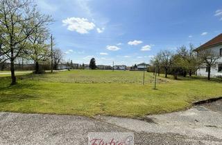 Grundstück zu kaufen in 4614 Marchtrenk, Baugrund in Top Lage in Marchtrenk Sucht Anleger Bzw. Bauträger - Mind. 1500 und Max. 6000 m² - Widmung Wohngebiet