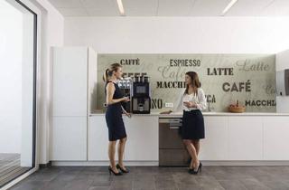 Büro zu mieten in 2351 Wiener Neudorf, Multifunktionelle Büro- und Lagerfläche (673 m² und 286 m²) in verkehrsgünstiger Lage, provisionsfrei - WALTER BUSINESS-PARK