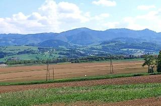 Grundstück zu kaufen in 4522 Sierning, Aussichts-Hang-Baugrundstück aufgeschlossen, OHNE Bauzwang und OHNE Bebauungsplan!