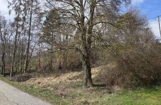 Grundstück zu kaufen in 4522 Sierning, 1.531 m² großes Aussichts-Hang-Baugrundstück aufgeschlossen, OHNE Bauzwang und OHNE Bebauungsplan!