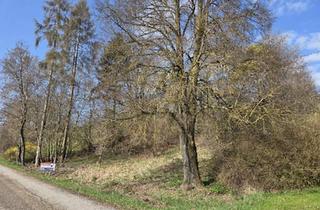 Grundstück zu kaufen in 4522 Sierning, 1.531 m² großes Aussichts-Hang-Baugrundstück aufgeschlossen, OHNE Bauzwang und OHNE Bebauungsplan!