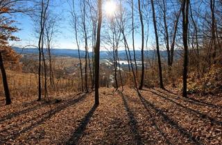 Grundstück zu kaufen in 2100 Korneuburg, Natur vor der Haustür – Grundstück mit Weitblick und Grünlandanschluss