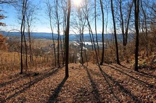 Grundstück zu kaufen in 2100 Korneuburg, Natur vor der Haustür – Grundstück mit Weitblick und Grünlandanschluss