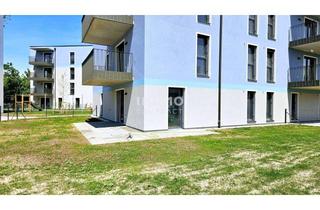 Wohnung kaufen in 2700 Wiener Neustadt, 217 m2 Süd-Eigengarten! Provisionsfreie 4-Zimmer-Wohnung - hell, modern, Top-Ausstattung, Erstbezug