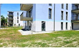 Wohnung kaufen in 2700 Wiener Neustadt, 217 m2 Süd-Eigengarten! Provisionsfreie 4-Zimmer-Wohnung - hell, modern, Top-Ausstattung, Erstbezug