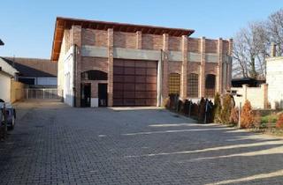 Grundstück zu kaufen in 7122 Gols, Ihr Traumhaus in Gols: 2.400 m² Baugrund mit 280 m² Rohbau, Terrasse und 10 Stellplätzen!