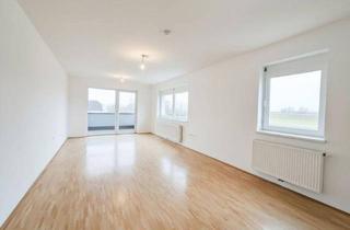Wohnung mieten in Marktstraße 57, 3321 Ardagger Markt, Betreubares Wohnen Ardagger Markt - schöne 2 Zimmerwohnung mit herrlichem Balkon