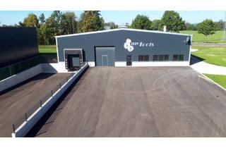 Büro zu mieten in 5280 Braunau am Inn, Lagerhalle mit Bürofläche, ca. 900m² asphaltierte Freifläche, ca. 2000m² Baugrund