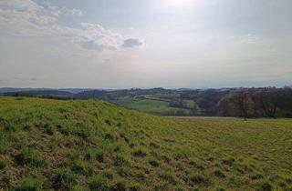 Grundstück zu kaufen in 8382 Maria Bild, Über 7.000m² Bauland in einer Grünlage der schönsten Natur-Regionen Österreichs – erhöht gelegen mit 360 Grad Panorama-Rundumblick