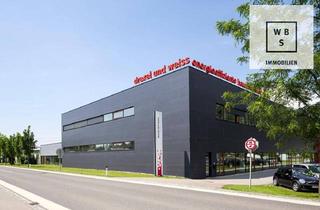 Büro zu mieten in Achstraße 42 / Top 1.25, 6922 Wolfurt, Schöne, helle Bürofläche im Gewerbepark Wolfurt