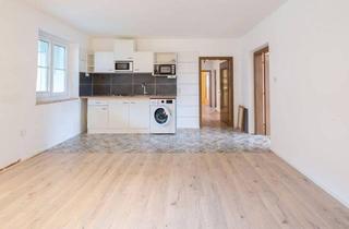 Büro zu mieten in 4407 Dietach, Helles 3-Zimmer Büro mit Empfang und Pausenraum in Dietach zu mieten