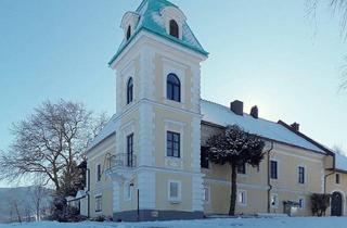 Wohnung mieten in 4816 Gschwandt, Wohnen im Schloss in Gschwandt