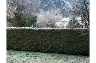 Wohnung mieten in 6330 Kufstein, Schöne Gartenwohnung in Kufstein