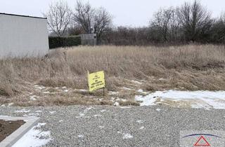 Grundstück zu kaufen in 2464 Göttlesbrunn, Grundstück in bester Lage!