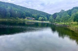 Haus kaufen in Mobilheimplatz Forchtenstein, 7212 Forchtenstein, Frühling am Badesee