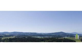 Gewerbeimmobilie kaufen in 5165 Berndorf bei Salzburg, Vielseitige Gewerbeimmobilie: Büro-, Werkstätten-, Lager- & Ausstellungshalle in OÖ!!