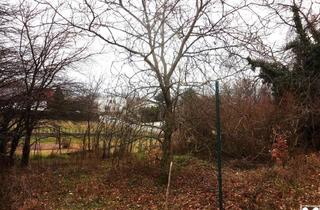 Grundstück zu kaufen in 7051 Großhöflein, Verbuschtes Baugrundstück in Hanglage ohne Bauzwang !