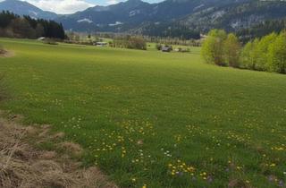 Grundstück zu kaufen in 9771 Berg, Neuer Preis......Sonniger Baugrund mit Ausblick