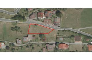 Grundstück zu kaufen in 6781 Bartholomäberg, Ihr Traumgrundstück: Sonne - Weite - Freiheit!