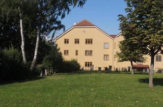 Wohnung mieten in 3830 Waidhofen an der Thaya, Ruhige Wohnung zu vermieten!