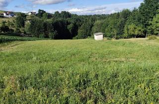 Grundstück zu kaufen in 7540 Güssing, Sonniges Grundstück mit Wiese und Wald in Ruhelage in der Thermenregion!