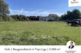 Grundstück zu kaufen in 7122 Gols, Gols | Baugrundstück in Top-Lage | 5.000 m²