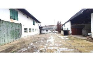 Bauernhäuser zu kaufen in 2020 Hollabrunn, 2014 Puch - Bauernhof für Wohnen und Gewerbe - 30 min von Wien !