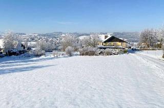 Grundstück zu kaufen in 5163 Mattsee, Bau aufs Glück