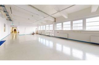 Büro zu mieten in 2514 Traiskirchen, Moderne Büro- oder Praxisfläche in zentraler Lage von Traiskirchen!