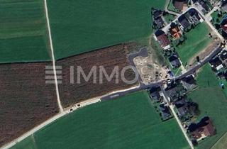 Grundstück zu kaufen in 5113 Sankt Georgen bei Salzburg, Verwirklichen Sie Ihren Traum - Baugrund in ruhiger Lage!