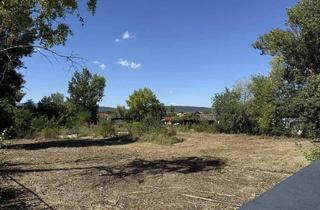 Grundstück zu kaufen in Brombeergasse, 2700 Wiener Neustadt, [06723] Baugrundstück am Föhrensee mit direktem Seezugang