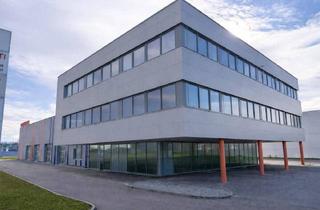 Büro zu mieten in Niedermoserstraße, 1220 Wien, Attraktive Büro- & Lagerkombination in modernem Bürogebäude – 1220 Wien