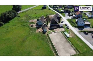 Agrarfläche kaufen in 8570 Voitsberg, NEUER PREIS! GROSSARTIGE PFERDERANCH IN DER GRÜNEN STEIERMARK! Ihr Paradies auf dem Land: Charmanter Reiterhof in traumhafter Lage!