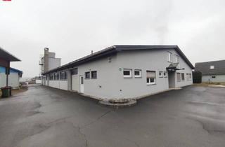 Immobilie kaufen in 8142 Wundschuh, Top Gewerbestandort mit Büro und Lagerflächen!