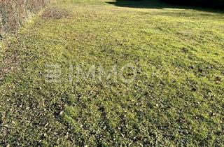 Grundstück zu kaufen in 4491 Niederneukirchen, Bezauberndes Fleckerl in ansprechender Lage - kein Bauzwang!