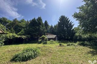 Grundstück zu kaufen in 8045 Graz, Sonniges Baugrundstück in Graz-Andritz inkl. Wochenendhaus und kleinem Waldstück
