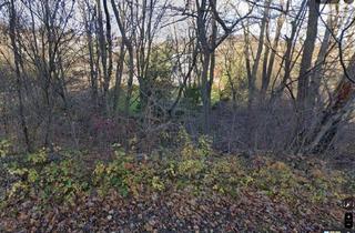 Immobilie kaufen in Weißenhofer Straße, 3420 Kritzendorf, Klosterneuburg: 1500m² Wald (Kritzendorf)