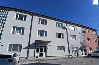 Büro zu mieten in Bräuhausstraße, 5020 Salzburg, Große Top-Gewerbeimmobilie in Salzburg Maxglan; helle, hohe Räume, EG+1.OG mit 372m² Bürofläche + 12m² Lager; angenehmes Raum- und Arbeitsklima; ruhige Lage mit Park- und Grünflächen direkt vor dem Haus