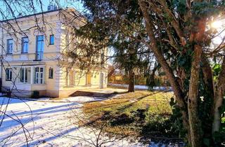 Haus mieten in 2340 Mödling, REPRÄSENTATIVE STADTVILLA IN MÖDLING- Perfekt für Wohnen & Arbeiten