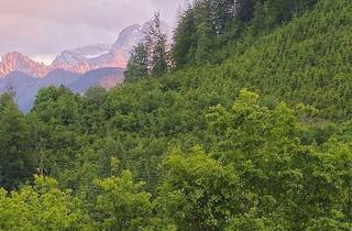 Immobilie kaufen in Gesäuse, 8933 Sankt Gallen, Bergbauernhof in herrlicher einzigartigen absoluten Alleinlage!