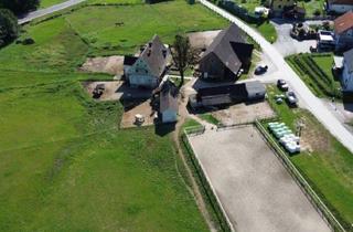 Lager kaufen in 8570 Voitsberg, NEUER PREIS! GROSSARTIGE PFERDERANCH IN DER GRÜNEN STEIERMARK! Ihr Paradies auf dem Land: Charmanter Reiterhof in traumhafter Lage!