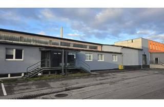 Büro zu mieten in 4053 Haid, Vielseitig nutzbare Gewerbeimmobilie mit einer Kombination aus Büro- und Lagerflächen