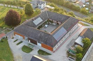 Büro zu mieten in 4470 Enns, Großzügige Flächen eines Wirtschaftstrakts mit guter Verkehrsanbindung