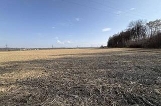 Gewerbeimmobilie kaufen in 5274 Burgkirchen, Ebenerdiges Ackerland nahe Ortszentrum Burgkirchen