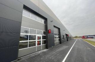 Büro zu mieten in 4052 Ansfelden, Gewerbe-/ Büro-/ Ordinations-/ Lagerflächen von 96 - 307 m² Fläche im Gewerbepark Ansfelden zu vermieten, Nähe A1 (Audorf Süd)