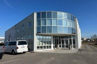 Büro zu mieten in 4614 Marchtrenk, Halle und schöne Büroräume mit Galerie und viele Parkplätze direkt an der B 1