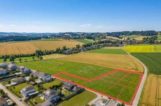 Grundstück zu kaufen in 4611 Buchkirchen, Herrliche Grundstücke ab 500 m² in Buchkirchen
