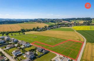 Grundstück zu kaufen in 4611 Buchkirchen, Herrliche Grundstücke ab 500 m² in Buchkirchen