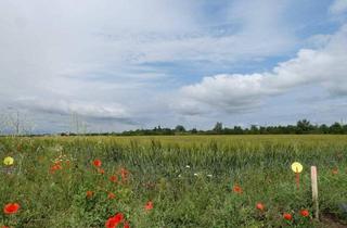 Grundstück zu kaufen in 2474 Gattendorf, GEWERBEZONE IDEAL FÜR KLEIN- UND MITTELBETRIEBE