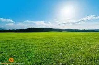  in 5202 Neumarkt am Wallersee, Baurecht: Gewerbegrund in Neumarkt